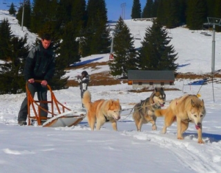  Scoperta del mushing in un seminario 